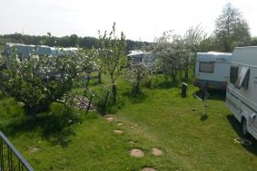 Camping Otterlo