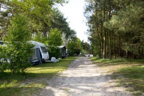 Camping Huijbergen