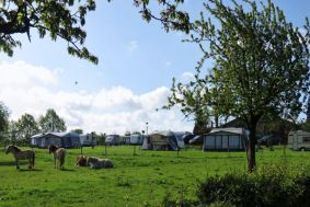 Camping Sint Geertruid