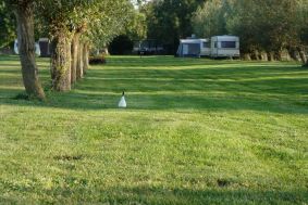 Camping Bergambacht