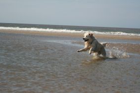 Camping Julianadorp aan Zee