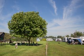 Camping Ommen